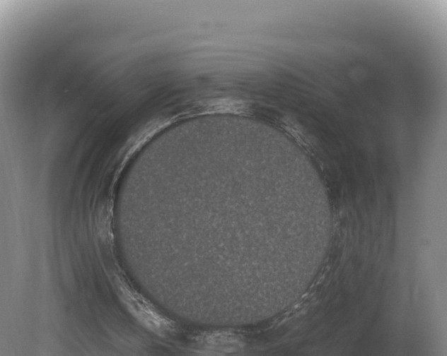 X0000081450146200701191723