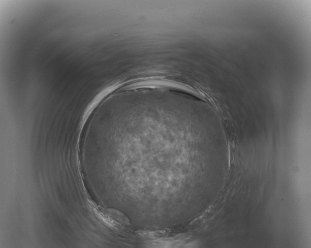 X0000081450147200701191723