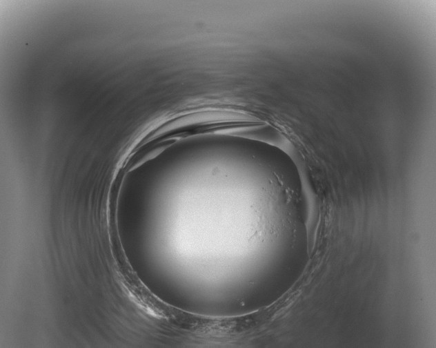 X0000081450148200701191723