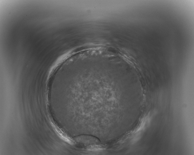 X0000081450149200701191723