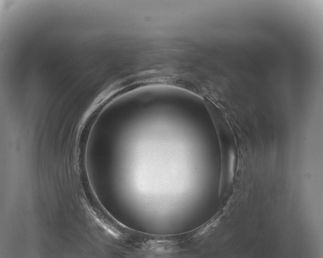 X0000081450150200701191723