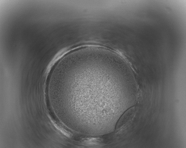 X0000081450151200701191723