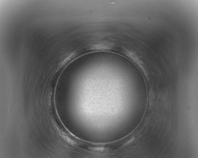 X0000081450153200701191723