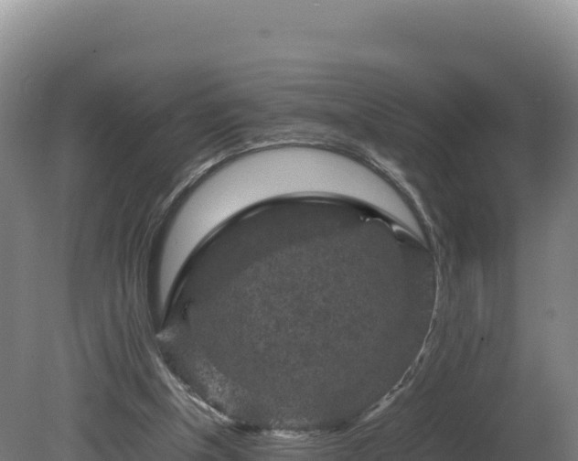 X0000081450154200701191723