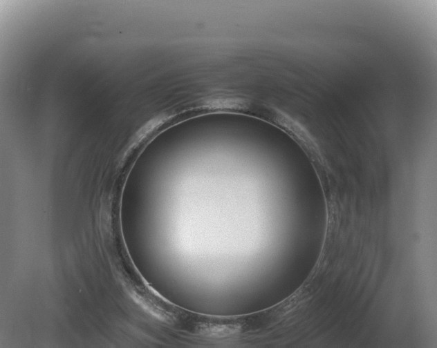 X0000081450155200701191723