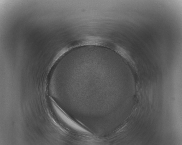 X0000081450156200701191723