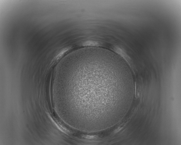 X0000081450157200701191723