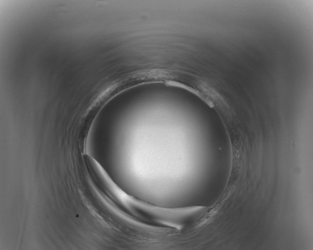 X0000081450158200701191723