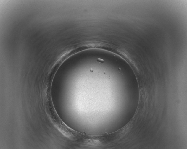 X0000081450159200701191723