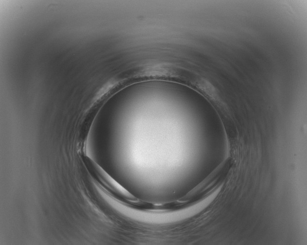 X0000081450160200701191723