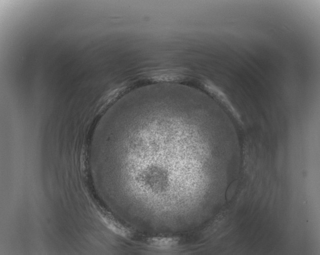 X0000081450161200701191723