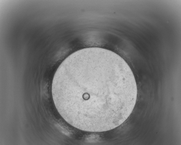 X0000081450162200701191723