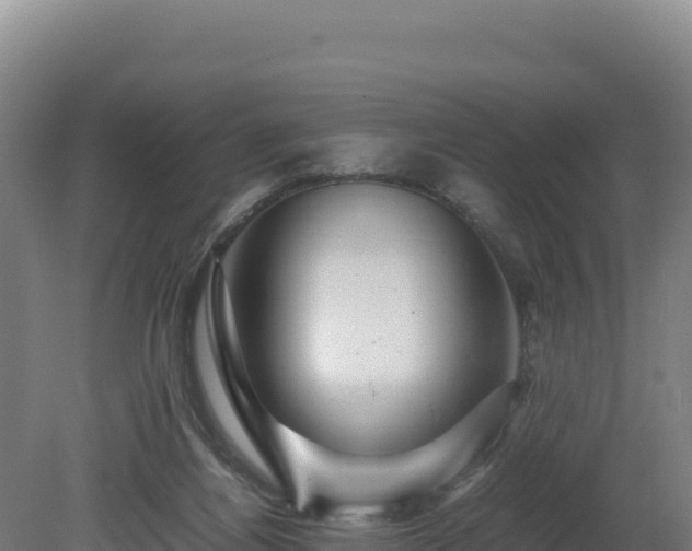 X0000081450164200701191723