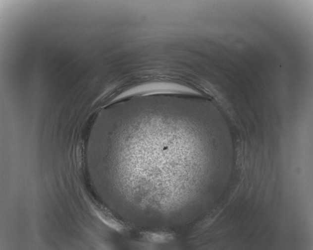 X0000081450165200701191723