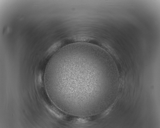 X0000081450166200701191723