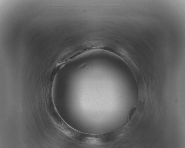 X0000081450167200701191723