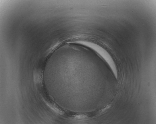 X0000081450168200701191723