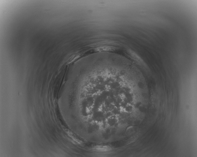 X0000081450169200701191723