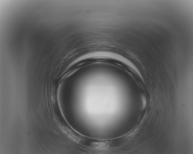 X0000081450170200701191723