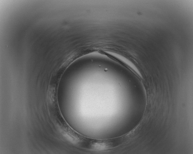 X0000081450171200701191723