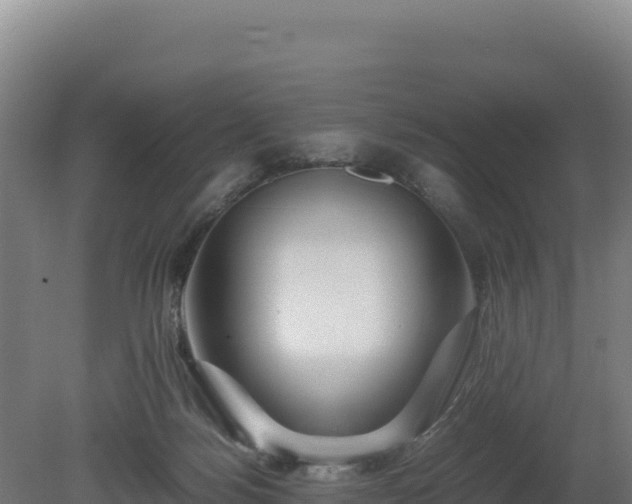 X0000081450172200701191723