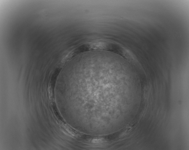 X0000081450173200701191723