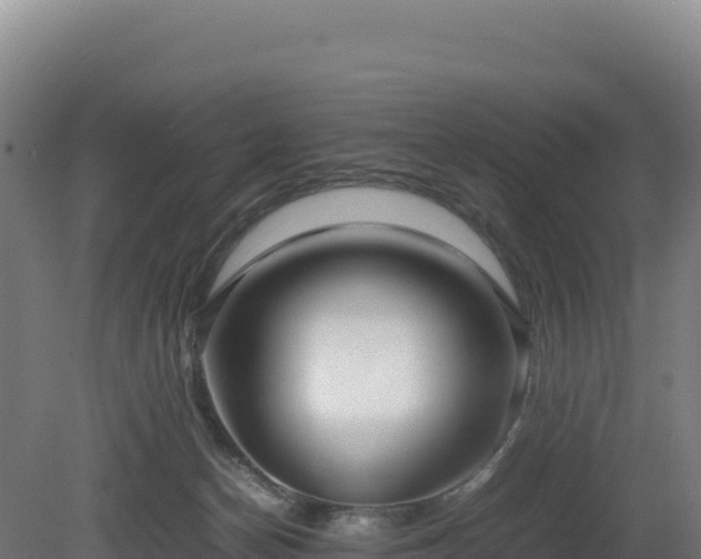 X0000081450174200701191723