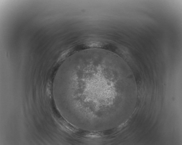 X0000081450175200701191723