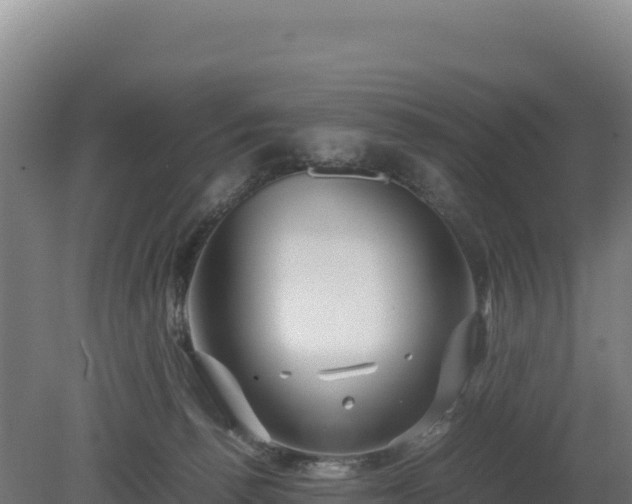 X0000081450176200701191723