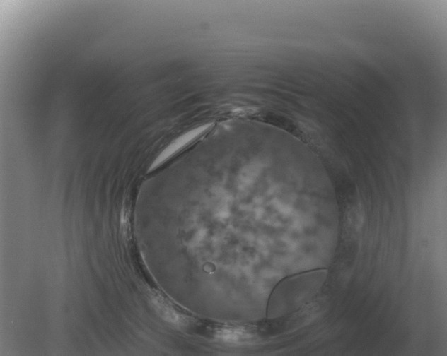 X0000081450177200701191723