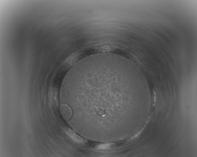 X0000081450178200701191723