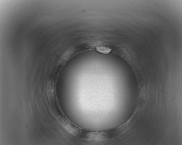 X0000081450179200701191723