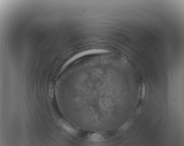 X0000081450180200701191723