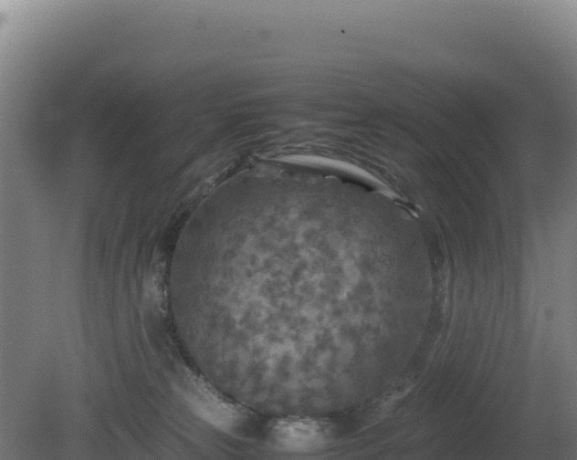 X0000081450181200701191723