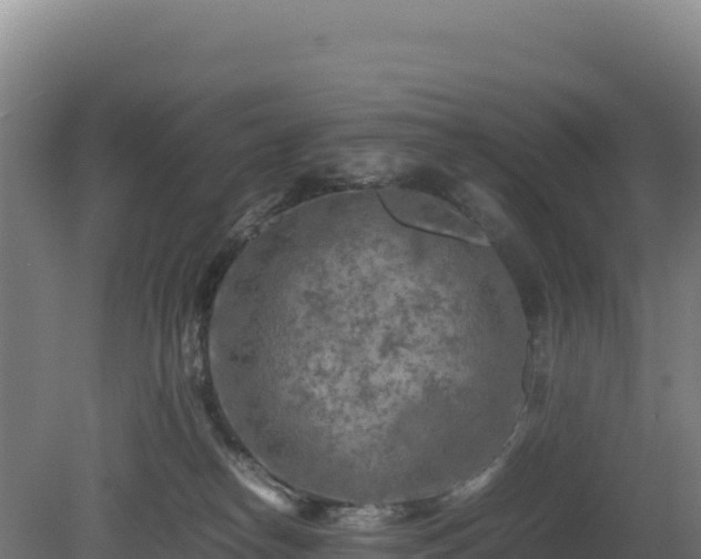 X0000081450182200701191723