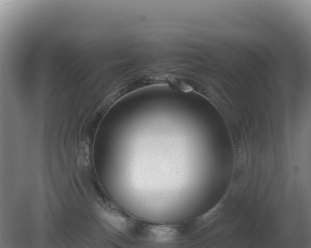 X0000081450183200701191723