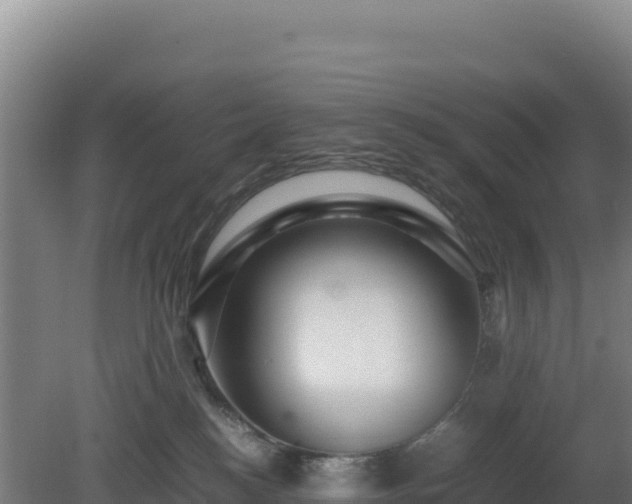 X0000081450184200701191723