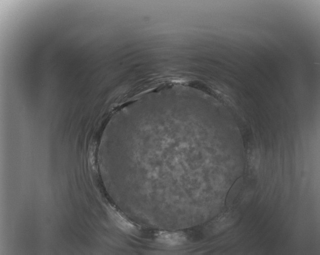 X0000081450185200701191723