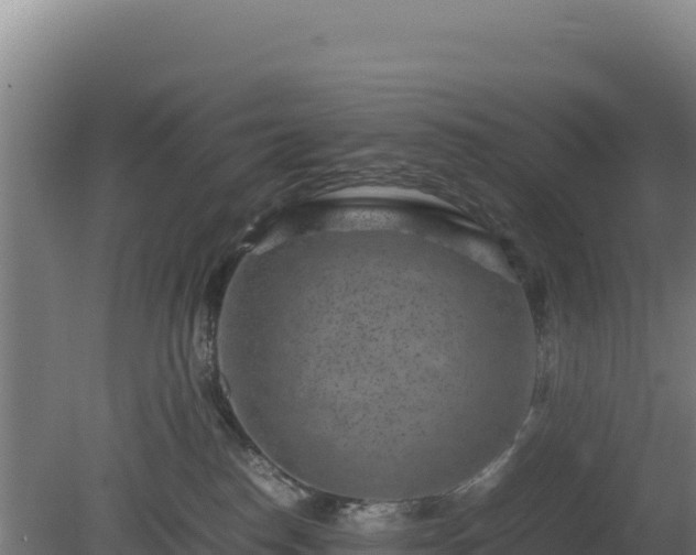 X0000081450186200701191723