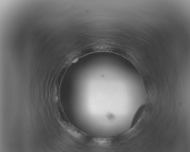 X0000081450187200701191723