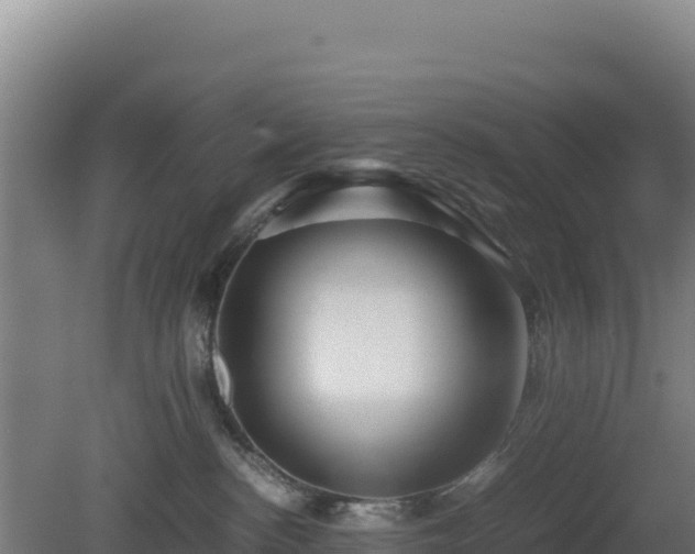 X0000081450188200701191723