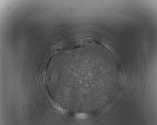 X0000081450189200701191723