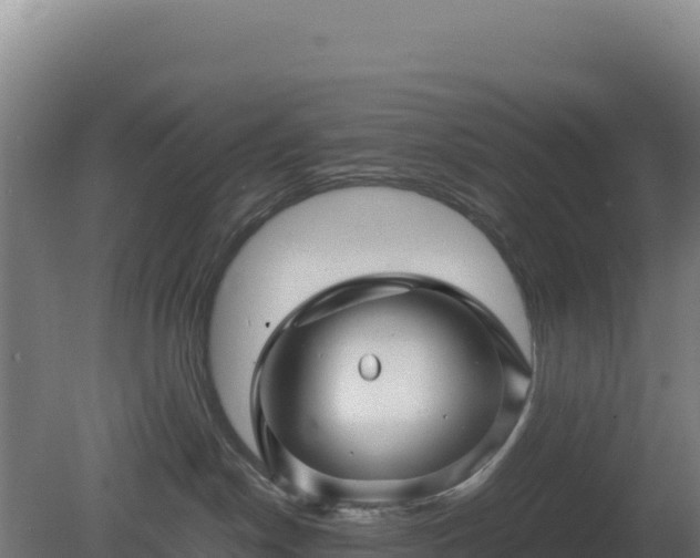 X0000081450190200701191723