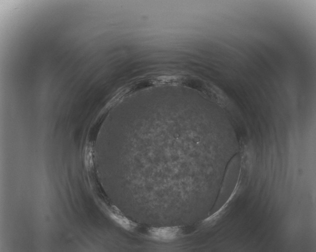 X0000081450191200701191723