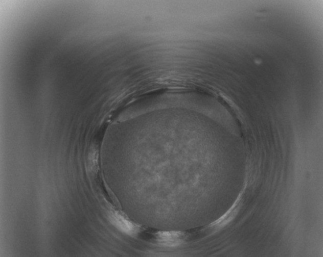 X0000081450192200701191723