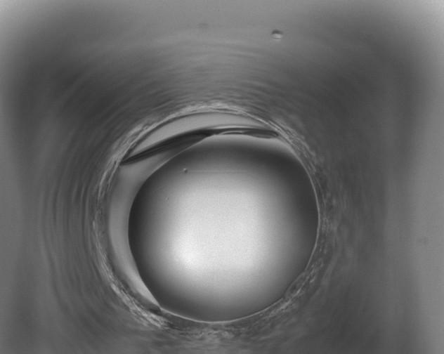 X0000081450193200701191723