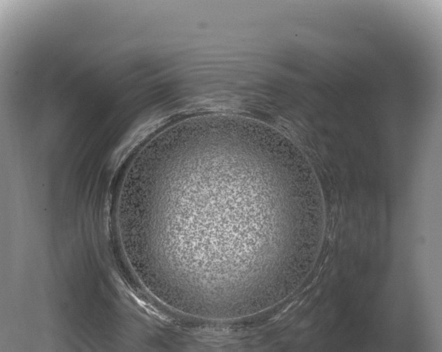 X0000081450194200701191723