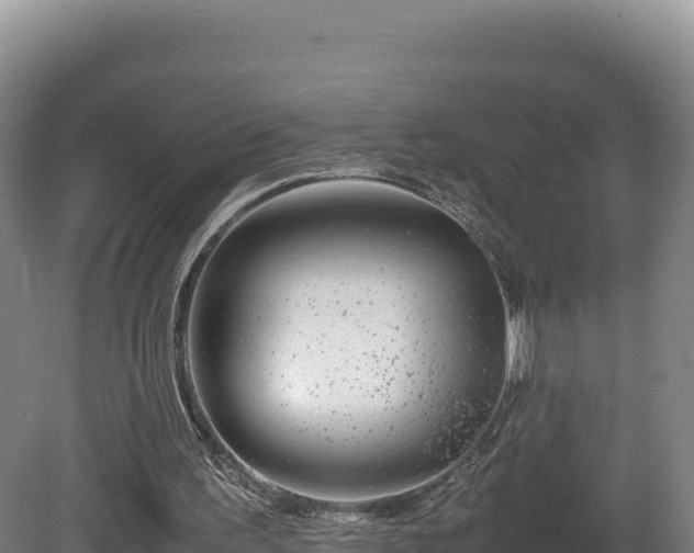 X0000081450195200701191723