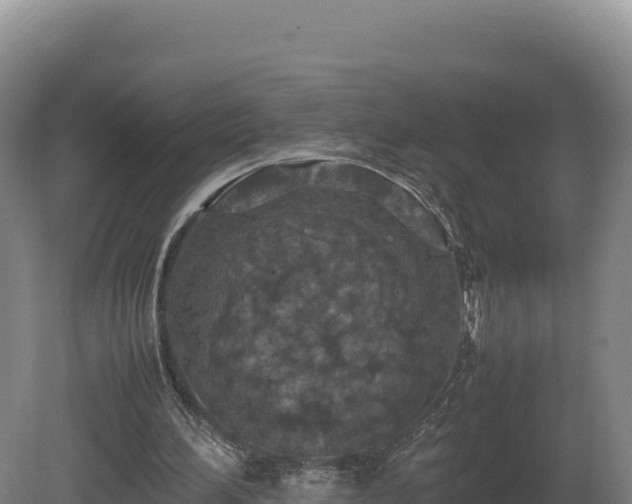 X0000081450196200701191723