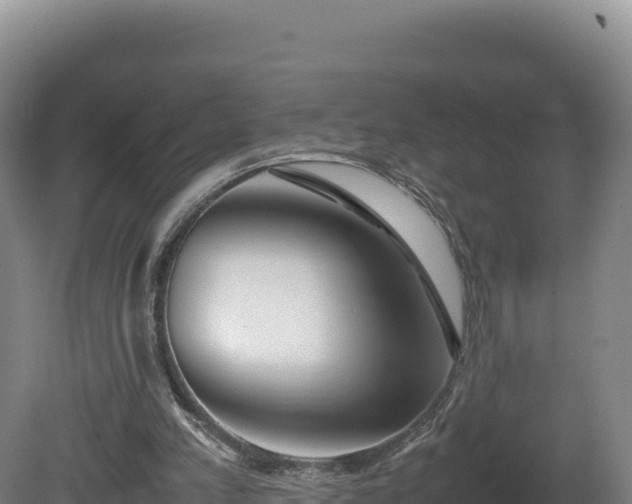 X0000081450197200701191722